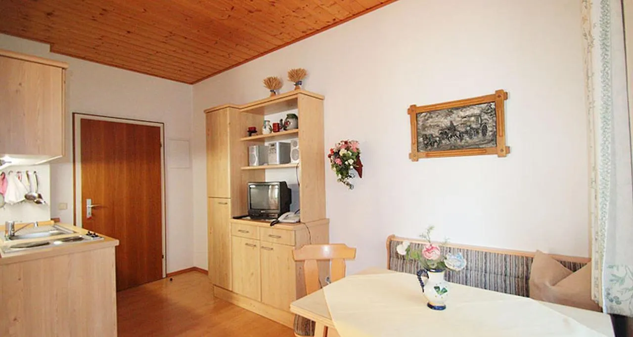 Villa Antonie Bad Reichenhall Apartment
